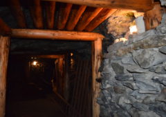 DSC_0029 DSC_0029