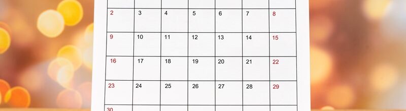 Steuertermine November 2025